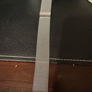 Silver Mesh Women's Watch Band